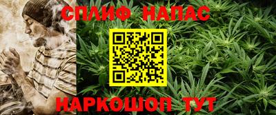 крисы Будённовск