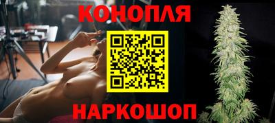 крисы Будённовск