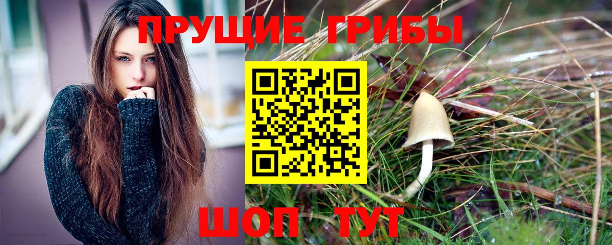 Галлюциногенные грибы ЛСД  Вход с VPN  Красноперекопск  Галлюциногенные грибы мицелий 